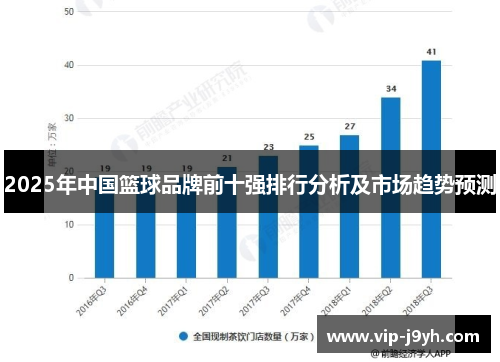 2025年中国篮球品牌前十强排行分析及市场趋势预测